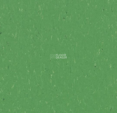 Forbo Marmoleum Decibel on Order 364735 nettle green фото 1 | FLOORDEALER